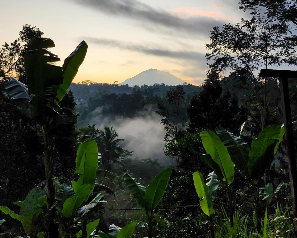 Delta Casa Ubud-Jungle Villas With Volcano View กีอันยาร์ ภายนอก รูปภาพ