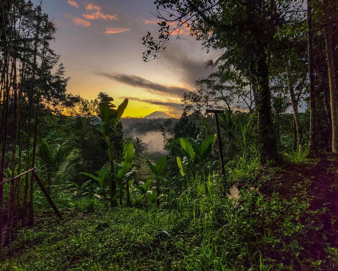 Delta Casa Ubud-Jungle Villas With Volcano View กีอันยาร์ ภายนอก รูปภาพ