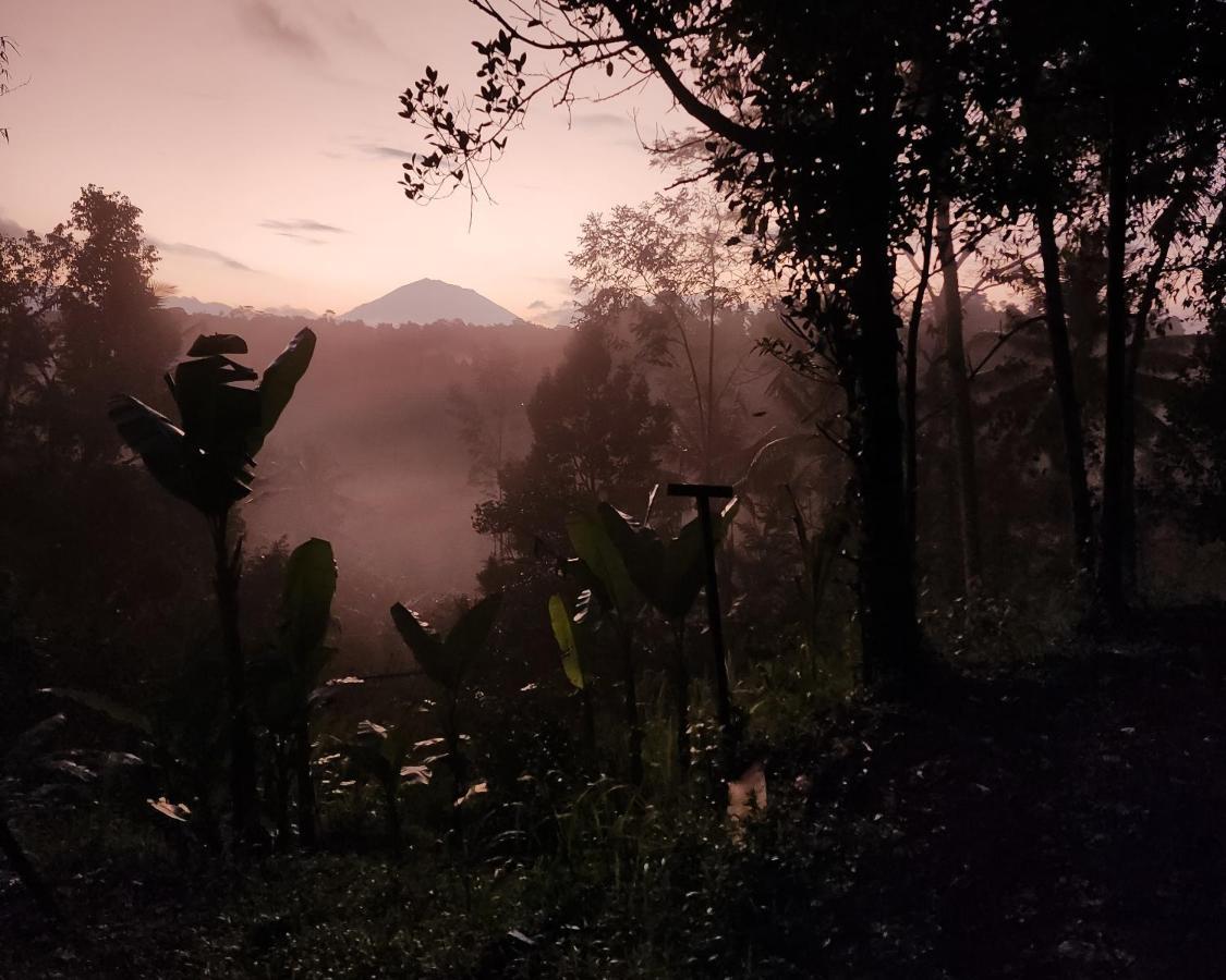 Delta Casa Ubud-Jungle Villas With Volcano View กีอันยาร์ ภายนอก รูปภาพ