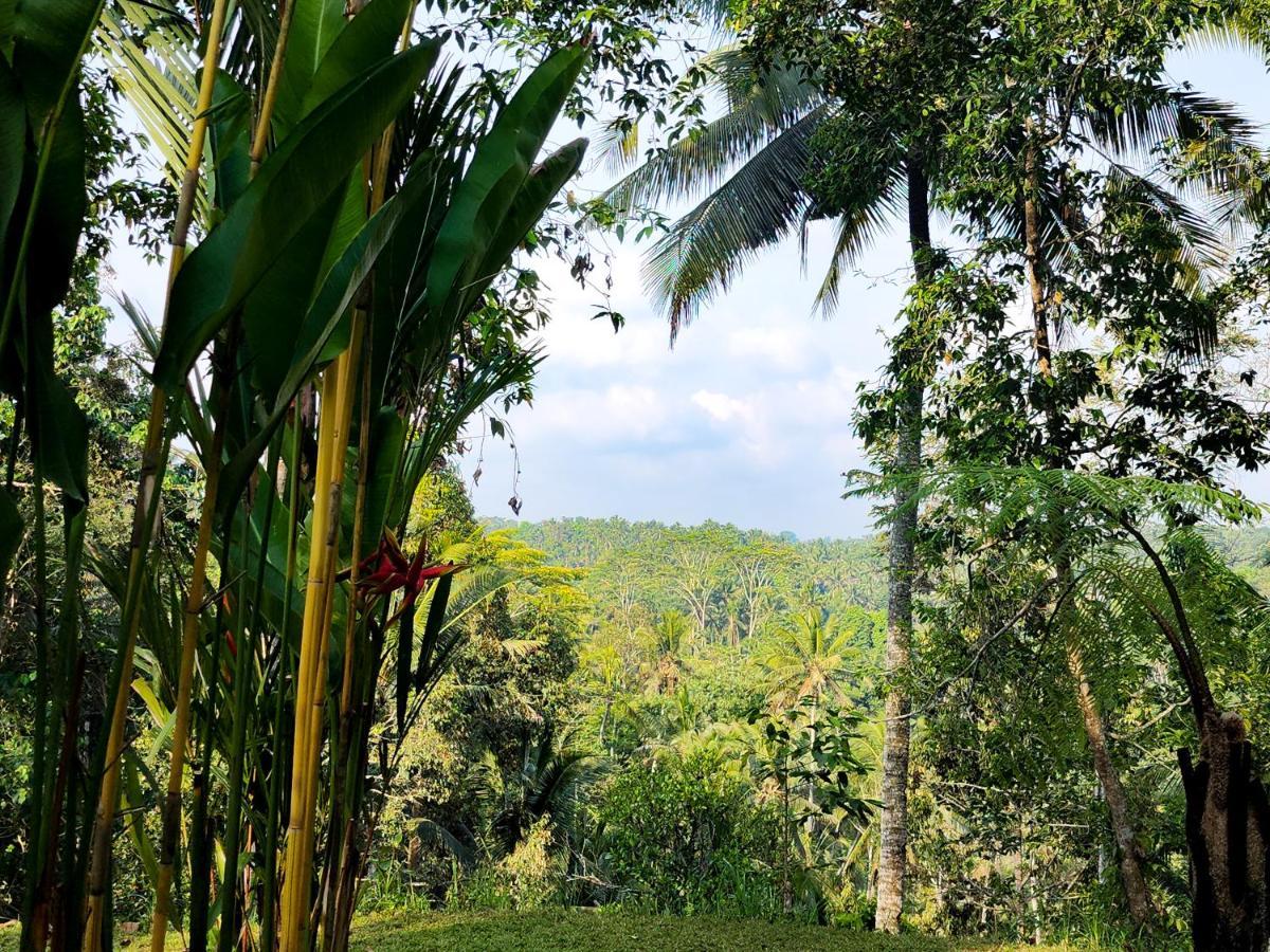 Delta Casa Ubud-Jungle Villas With Volcano View กีอันยาร์ ภายนอก รูปภาพ